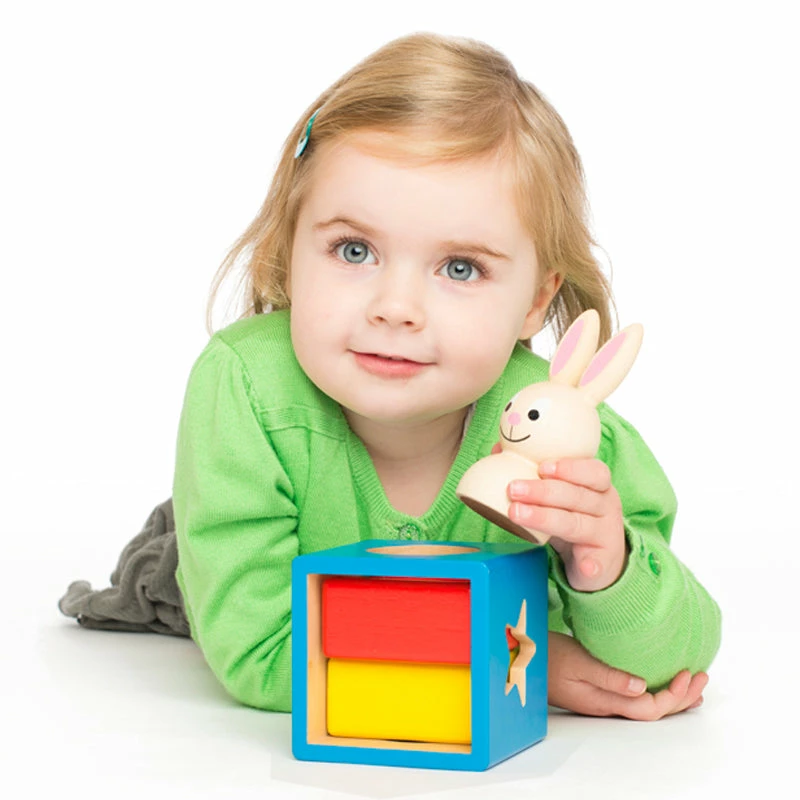 Bunny Boo Single Player Logic Puzzle Challenge Smart Games Bunny Boo Single Player Logic Puzzle Challenge -Le Toy Van Shop