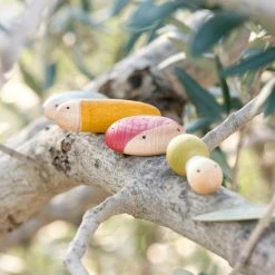 Grapat 18 Wooden Insects -Le Toy Van Shop GRA19209 03 800x800 crop center