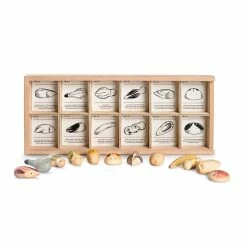 Grapat Wild Wooden Play Set -Le Toy Van Shop GRA22232 4 800x800 crop center